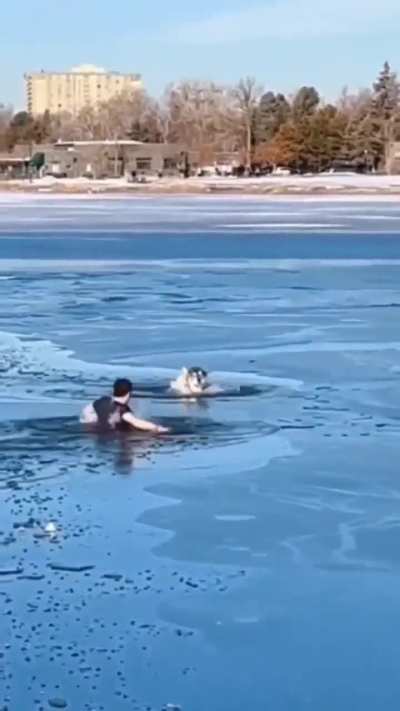 Kind Man Rescues Dog In Freezing Water