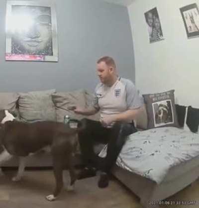 This guy when he thinks his dog is dead