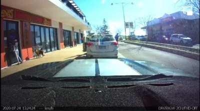 Owner ties dog to shopping cart