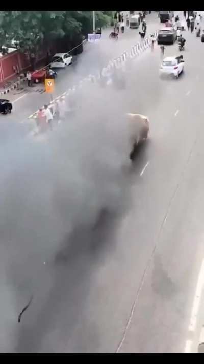 Vimal Devgn is back to take revenge on pan masala haters in Tarzan the wonder car 2