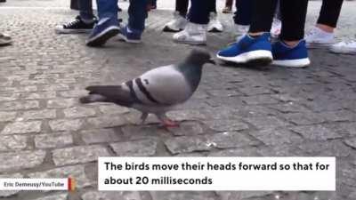 My genuine curiosity was ruined by mortified amusement