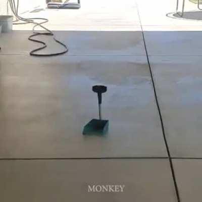 Someone had to do it