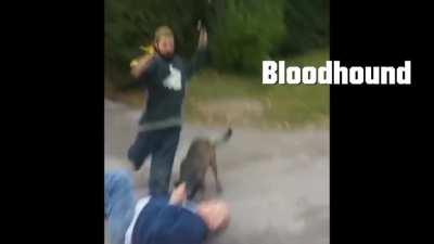 They call themselves the Apex Legends (Remastered)