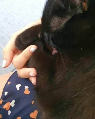 He's gonna miss me so bad when I go back to work.