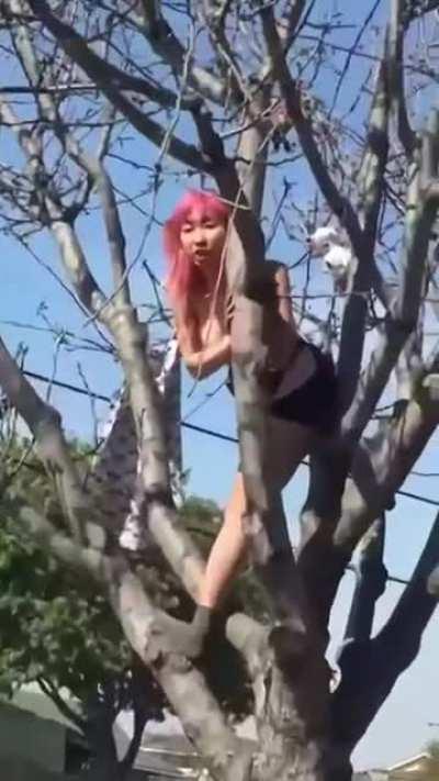 Both make great points