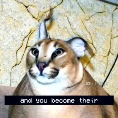 thanks floppa, very cool