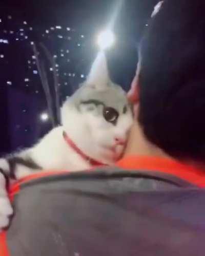 Сорян, мымра, ты в пролëте.