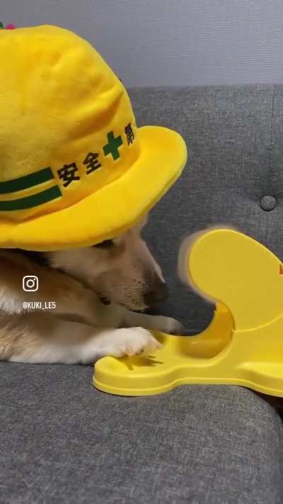 Born to gamble, forced to work.