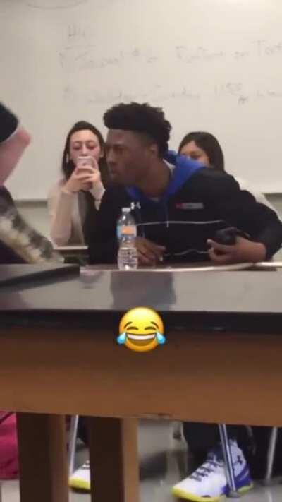 When the zoo comes to your classroom