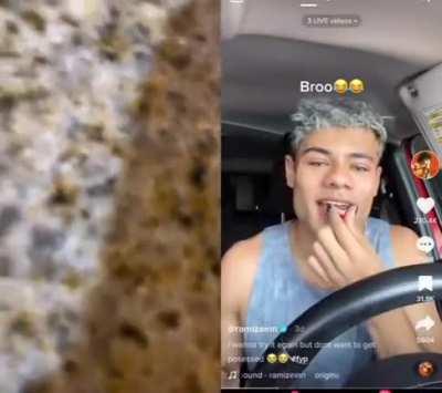 Spicy Gummy Bear (credit to the_strangest_dude via TikTok)