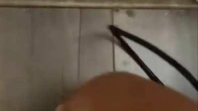 im gonna talk to da power