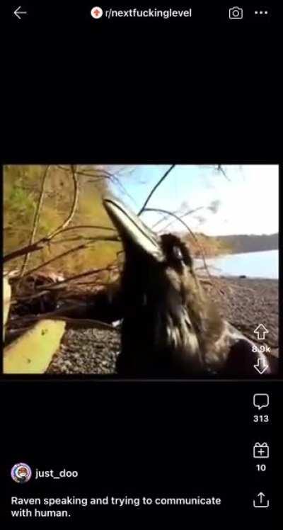 Yeah..nextfuckinglevel of how uncomfortable this makes me.