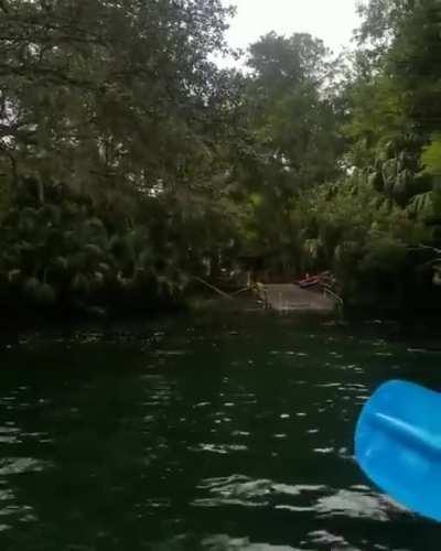 Обезьянопад