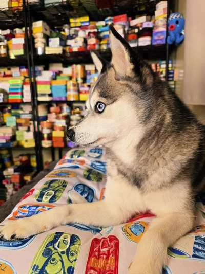 My tinned fish partner