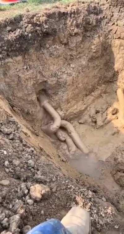 Thanks, I hate coffee