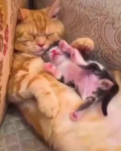 MRW i was out drinking last night