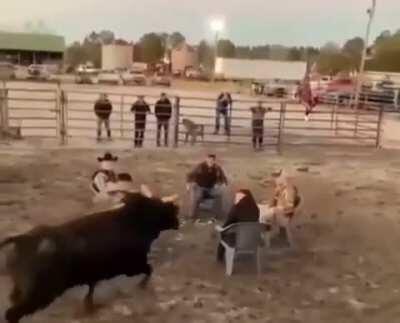 maybe the bull won't notice