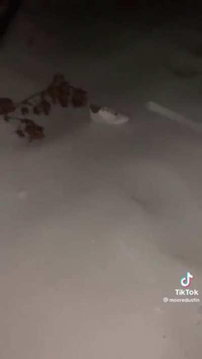 This shoe’s get away