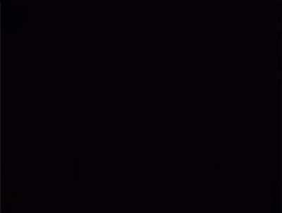 StompingAMudholeInYourAss