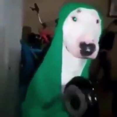 My brain when I see a girl