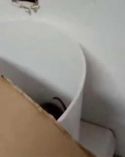 Se explica solo(wow)