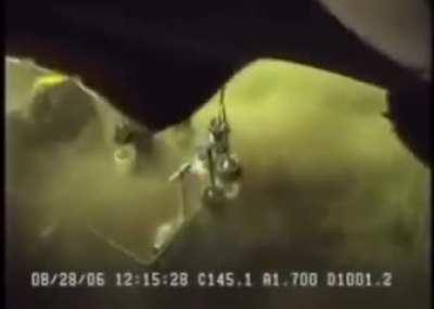 This 6-gill shark at 3,300 below depth.