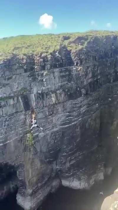 fuck this flying bird in particular