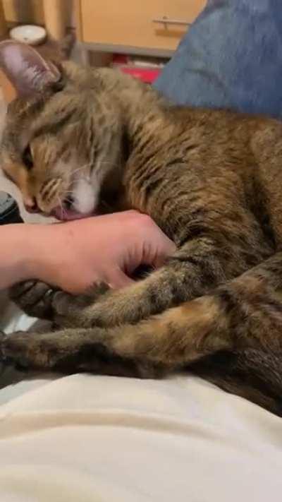 Move your hand one more time, and you are gonna lose it