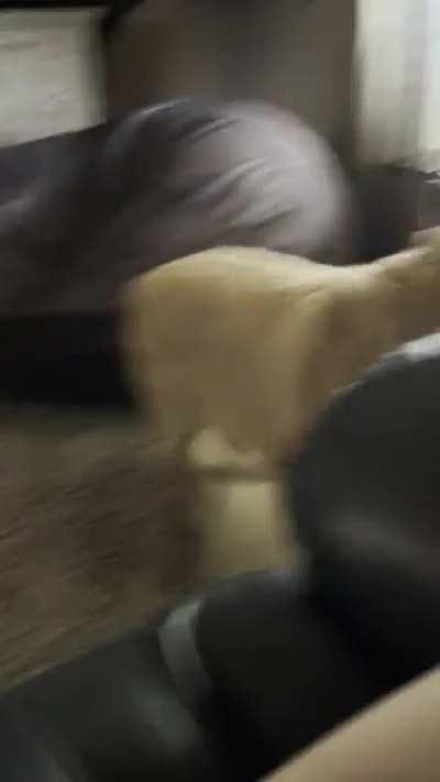 Special delivery of tumble derps