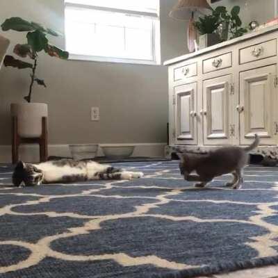 love without touching