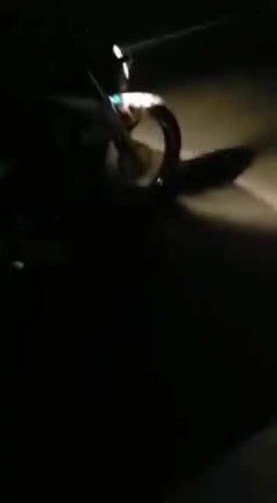 Hmft after I wheelie on a highway