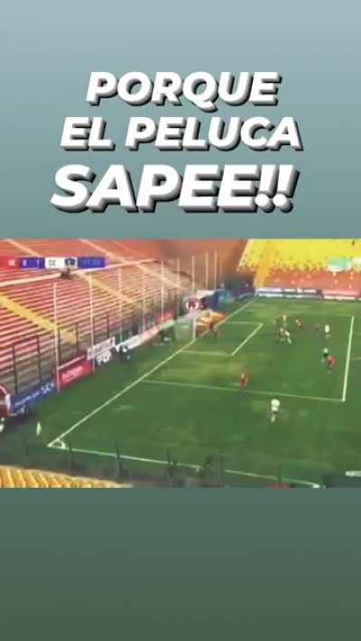 «Porque el Peluca sape!!» Subida a Stories por el mismísimo Bananero