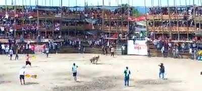 At least 5 dead and more than 500 injured after the collapse of a bullfight tower in Colombia; June 26, 2022