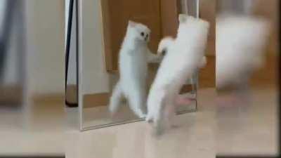 Some initial slaps and then a lot of improvisation