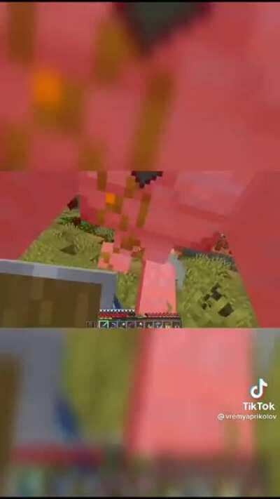 Expectation V.S. Reality