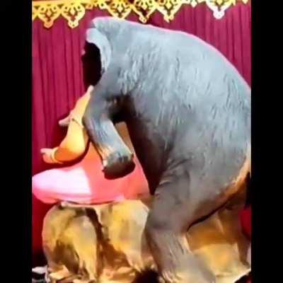 I want to post this on r/plipplip, but I also don't wanna be banned again