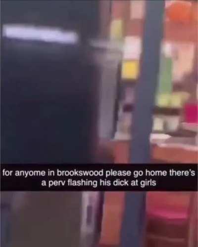 Pedophile flashes his dick at a 15 year old, sexually harasses her, and tries to justify his actions