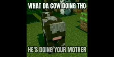 What da cow doing tho part 2