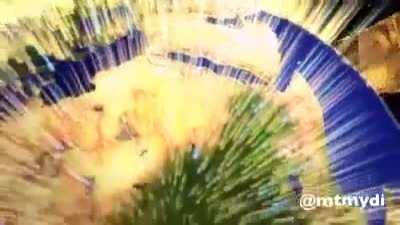 Send this to someone you dislike and when confronted say this exact same thing