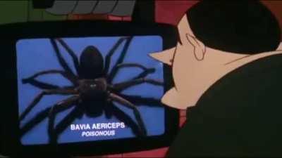 What kind of spider was it?