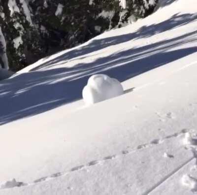 Perfect snowball roll