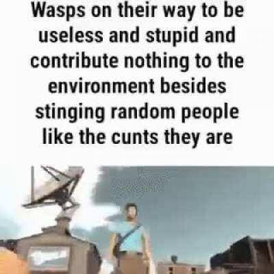 Let's play rock paper scissors caw caw