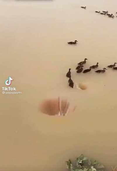 Когда смыл раньше времени