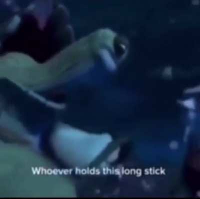 Long stick