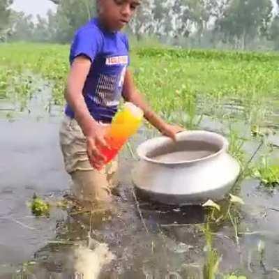 teach a man to fish and hell eat for life