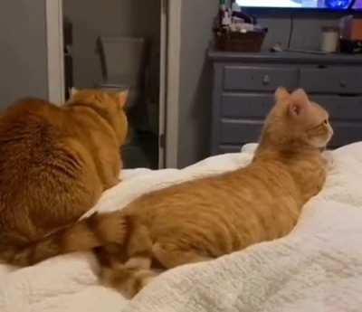 Startled by unexpected flirting