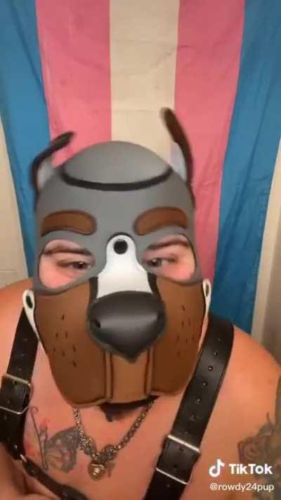 I don't understand these people