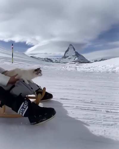 ⛷️👩🐈🎒🌍✈️🌏 ✦🌌 𝚌𝚘𝚝𝚘𝚋𝚊 – 𝓒𝓪𝓽 𝓕𝓪𝓷𝓽𝓪𝓼𝓽𝓲𝓬 (𝚃𝚃𝙽𝙶 𝚌𝚘𝚟𝚎𝚛) is 𝚘𝚗 𝙱𝙲 𝚗𝚘𝚠! ↳ 🔗 𝚒𝚗 𝚌𝚘𝚖𝚖𝚎𝚗𝚝𝚜