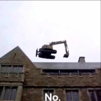 Northstar mains when they see a monarch