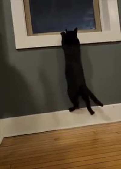 When a small mistake crept into the calculation